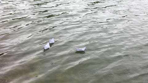 Бумажные кораблики, которые дети спустили на воду озера